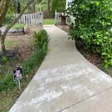 House Driveway Pool Cage Cleaning 6