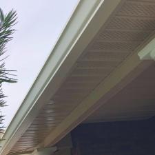 Soft House Washing and Gutter Brightening in Tallahassee, FL 4