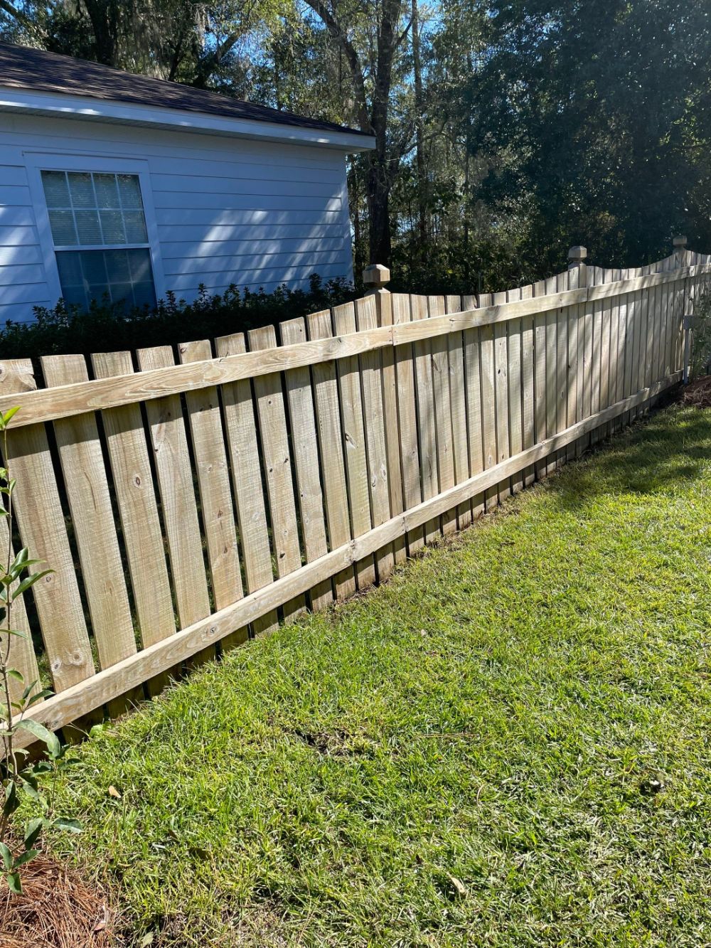 Fence cleaning