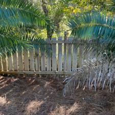 Fence Cleaning 1