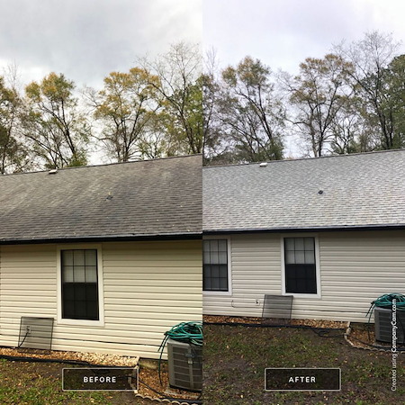 Roof washing in tallahassee how to remove algae without damaging shingles
